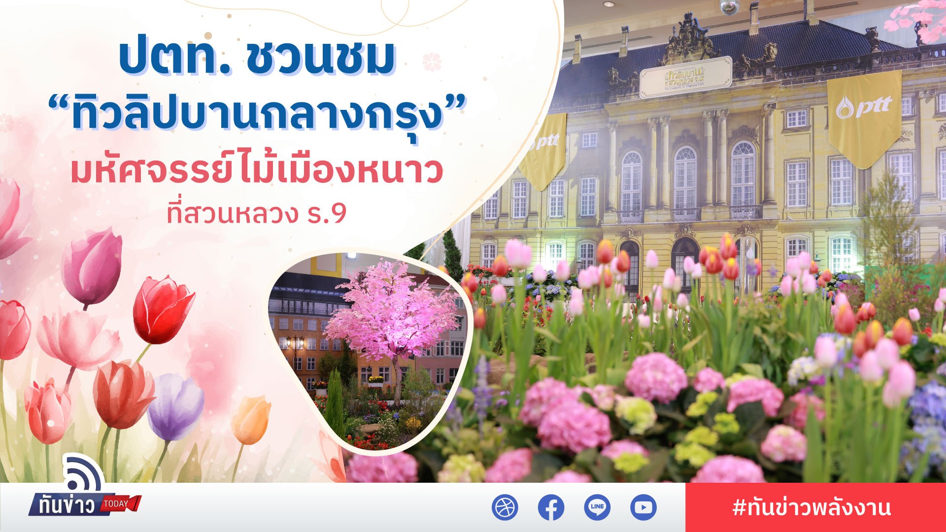 ปตท. ชวนชม “ทิวลิปบานกลางกรุง” มหัศจรรย์ไม้เมืองหนาวที่สวนหลวง ร.9