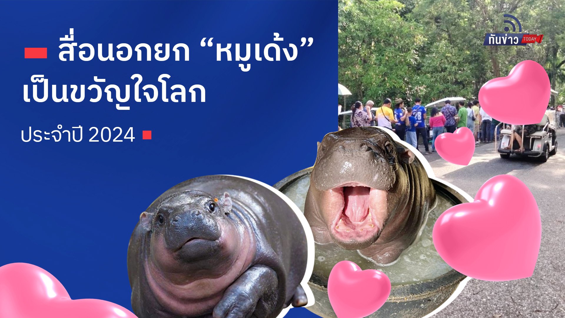 สื่อนอกยก “หมูเด้ง” เป็นขวัญใจโลกประจำปี 2024